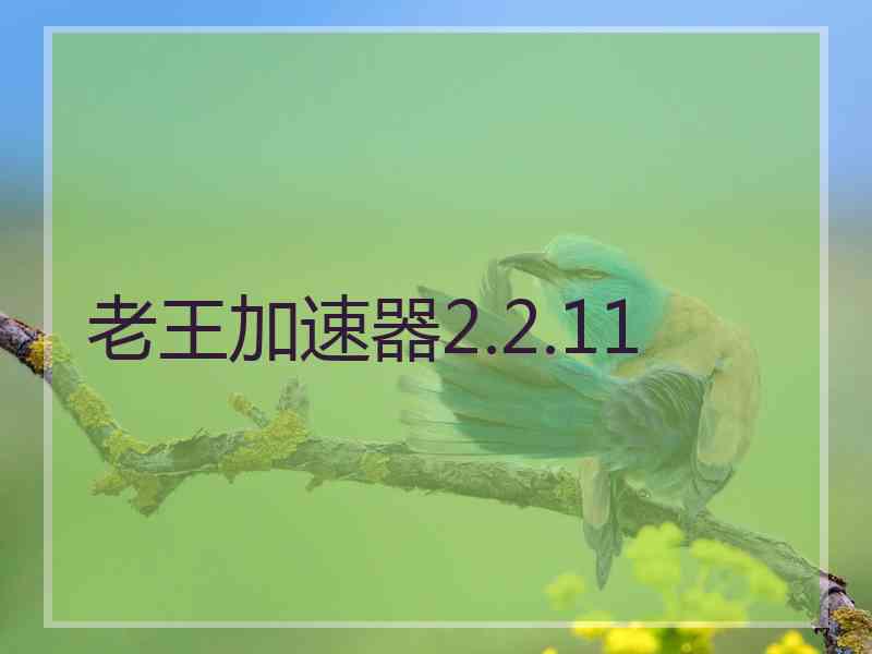 老王加速器2.2.11