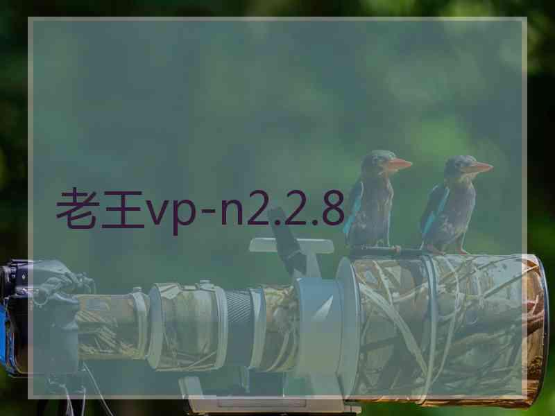 老王vp-n2.2.8